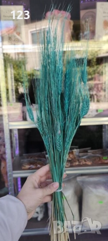 житен клас различни цветове 