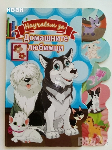 Картинна книжка "Научавам за домашните любимци"