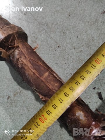 Ос с Пиньон , снимка 5 - Селскостопанска техника - 40024635