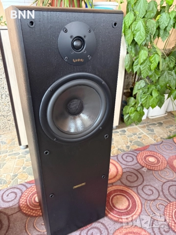 Тонколони Infinity Reference 31i, снимка 3 - Тонколони - 52916284