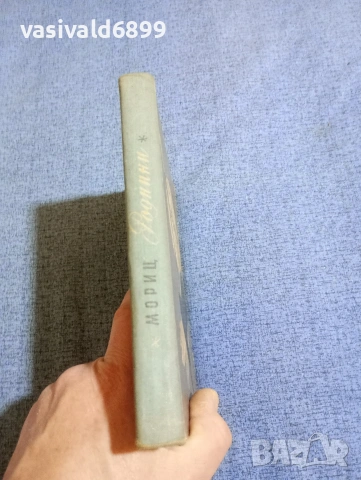 Жигмонд Мориц - Роднини , снимка 2 - Художествена литература - 53518175