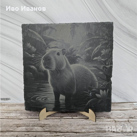 Гравирана вулканична плочка Капибара