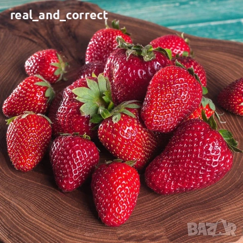 ВЕЛИКОЛЕПЕН БИО Разсад целогодишни Ягоди и Малини