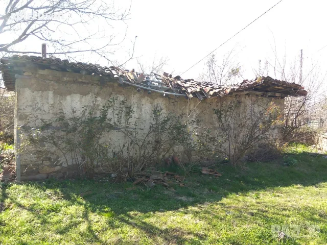 Дворно място в с. Дъбене, снимка 2 - Парцели - 56091175