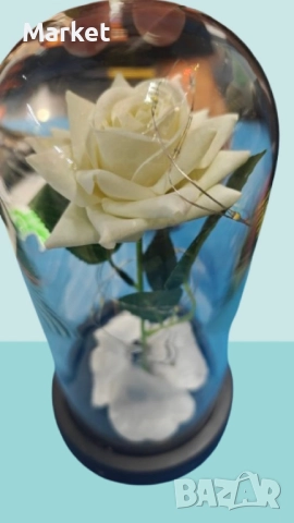 Бяла роза под стъклен купол - Вечна елегантност, снимка 2 - Декорация за дома - 51811959
