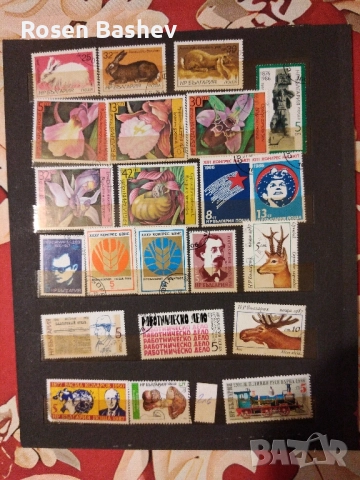 Пощенски марки , снимка 7 - Филателия - 51738659