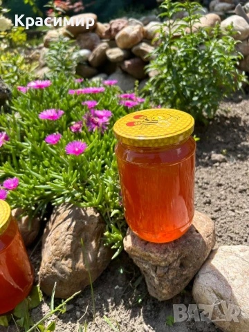 Предлагам натурален пчелен мед 