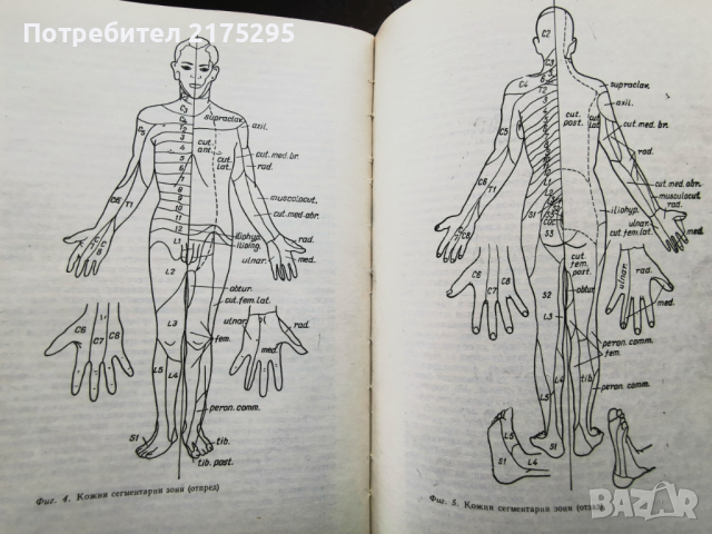 Съвремени насоки в обезболяването и реанимацията - изд.1969г., снимка 6 - Специализирана литература - 44592134