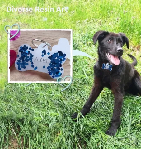 Аксесоар за домашен любимец от епоксидна смола, снимка 3 - За кучета - 47284496