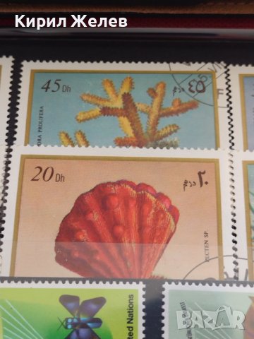 Пощенски марки серия ЕКЗОТИЧНИ РИБИ,РАКОВИНИ за КОЛЕКЦИЯ 37886, снимка 9 - Филателия - 40455113