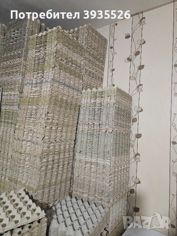 Кори за яйца., снимка 3 - За птици - 52594995