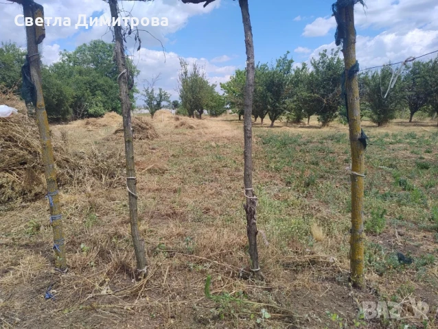 Продавам къща с дворно място в с. Дъбовик, снимка 9 - Къщи - 50255995