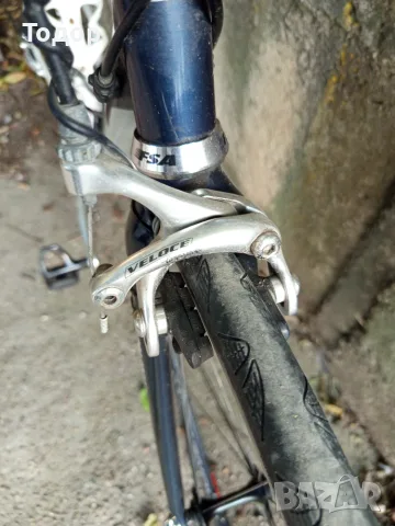 EddyMerckx Campagnolo , снимка 6 - Велосипеди - 55966021