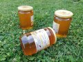 Пчелен мед 100 % натурален, снимка 1 - Пчелни продукти - 35368833