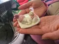 ~•°Гипсови фигурки "Спящо бебче"°•~, снимка 3