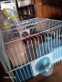 Клетка за хамстери , снимка 4