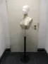Манекен Дамски Шивашки , снимка 1