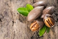 Орех- Пекан (Pecan Nuts) , снимка 4