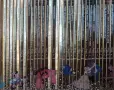 Златна колекция приказки-110 и 100 тома, снимка 3