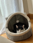 Плюшено легло и къща 2в1 за котки с уши и играчка, Пухкаво за вашата котка или друг домашен любимец, снимка 3