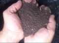 Биотор ( хумус ) за градина от Калифорнийски червей , снимка 8
