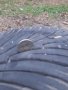 Летни гуми с железни джанти , снимка 3