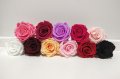 Естествени стабилизирани рози и цвят роза-за дома, подарък, декорация с мъх, снимка 3