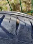 4 броя гуми Continental с размери 175/65/14, снимка 6