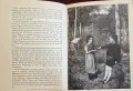 The Pre-Raphaelites, снимка 6
