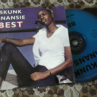 Skunk Anansie - Best матричен диск, снимка 1 - CD дискове - 44726443
