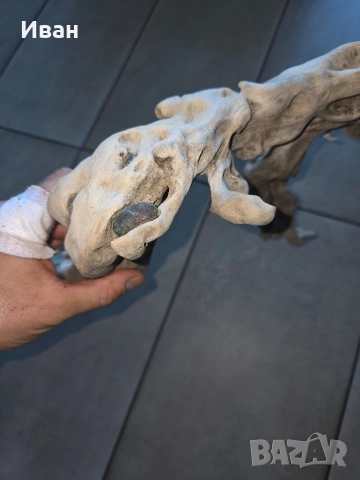 корен от дърво с камъни в него, снимка 6 - Декорация за дома - 53568968