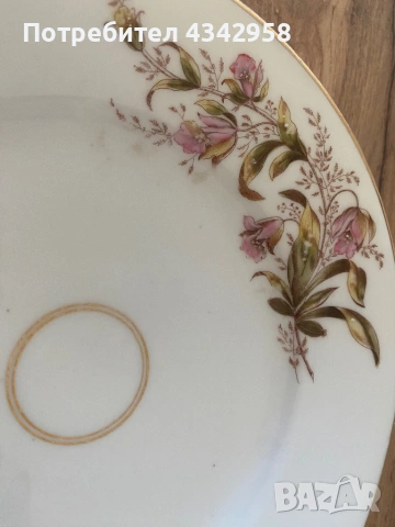 Антикварна порцеланова чиния KPM Krister Waldenburg – около 1900 г.  , снимка 5 - Антикварни и старинни предмети - 53812225