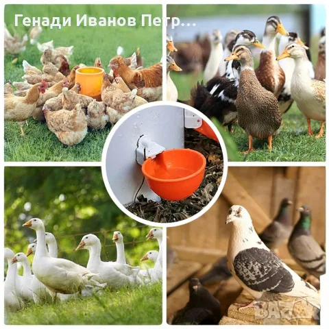 Автоматична поилка за птици, 5 бр.