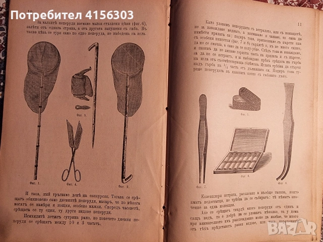 Пеперуди + Наставления за уредбата и гледането на училищните градини. 1896. , снимка 4 - Градински цветя и растения - 53784348