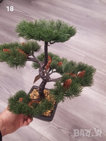 Бонсай , Бонзай, снимка 7 - Декорация за дома - 39304703