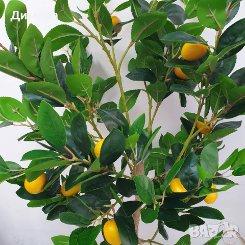 Дърво Лимон 160 см, снимка 2 - Декорация за дома - 50894487