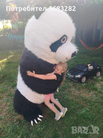 Панда и Голяма Бяла Мечка за ваш специален момент 