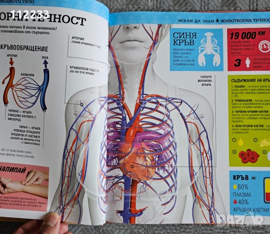 Енциклопедия " Искам да знам-Човешкото тяло", снимка 6 - Детски книжки - 41605733