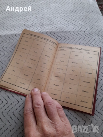 Стара Застрахователна книжка ДЗИ, снимка 6 - Други ценни предмети - 53369411