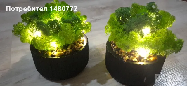 Светеща кашпа със скандинавски мъх 