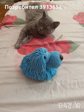 Jiggly Pets и Прасенцето Пигли