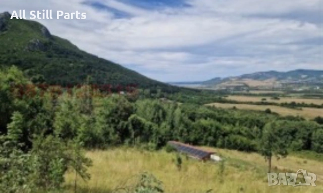 Имот в село Павлоче, снимка 2 - Парцели - 53559254