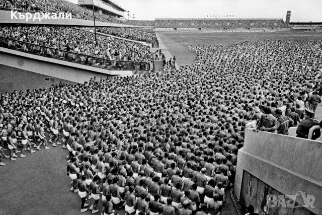 Много Рядък Знак от Спартакиадата в Прага 1955 г., снимка 4 - Антикварни и старинни предмети - 33996809
