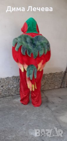 Карнавален костюм на папагал, снимка 2 - Други - 41498294