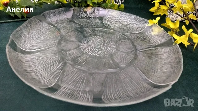 Тортиера прекрасна , снимка 2 - Чинии - 48427937