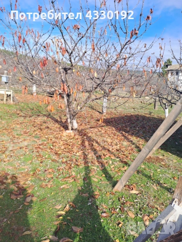 продава парцел., снимка 6 - Парцели - 52032136