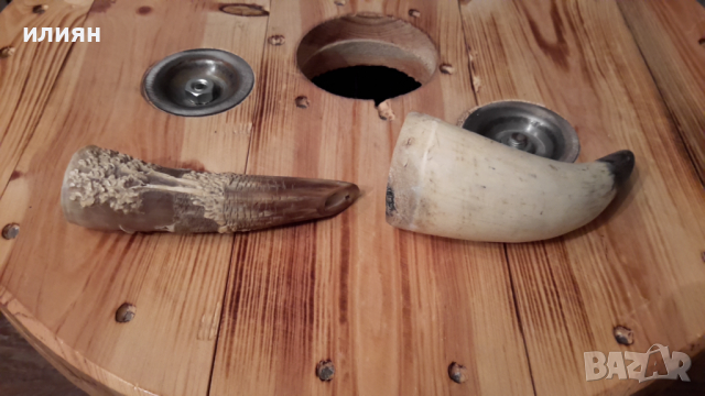 Два броя рога интересни за декорация 15лв за брой , снимка 2 - Декорация за дома - 36513745