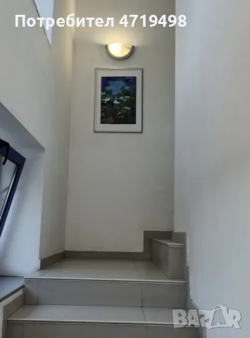 НОЩУВКИ в гр.Монтана 