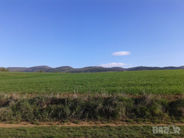 Парцел в с. Доброславци под наем, на земеделски път с лесен достъп. ПИ, снимка 3 - Парцели - 53066173