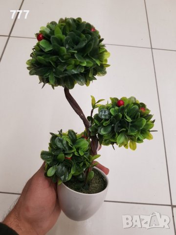 Бонсай , Бонзай, снимка 3 - Изкуствени цветя - 38915633